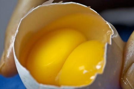 http://somecontrast.com/blog/wp-content/uploads/2008/12/cooking-with-double-yolked-eggs_1.jpg